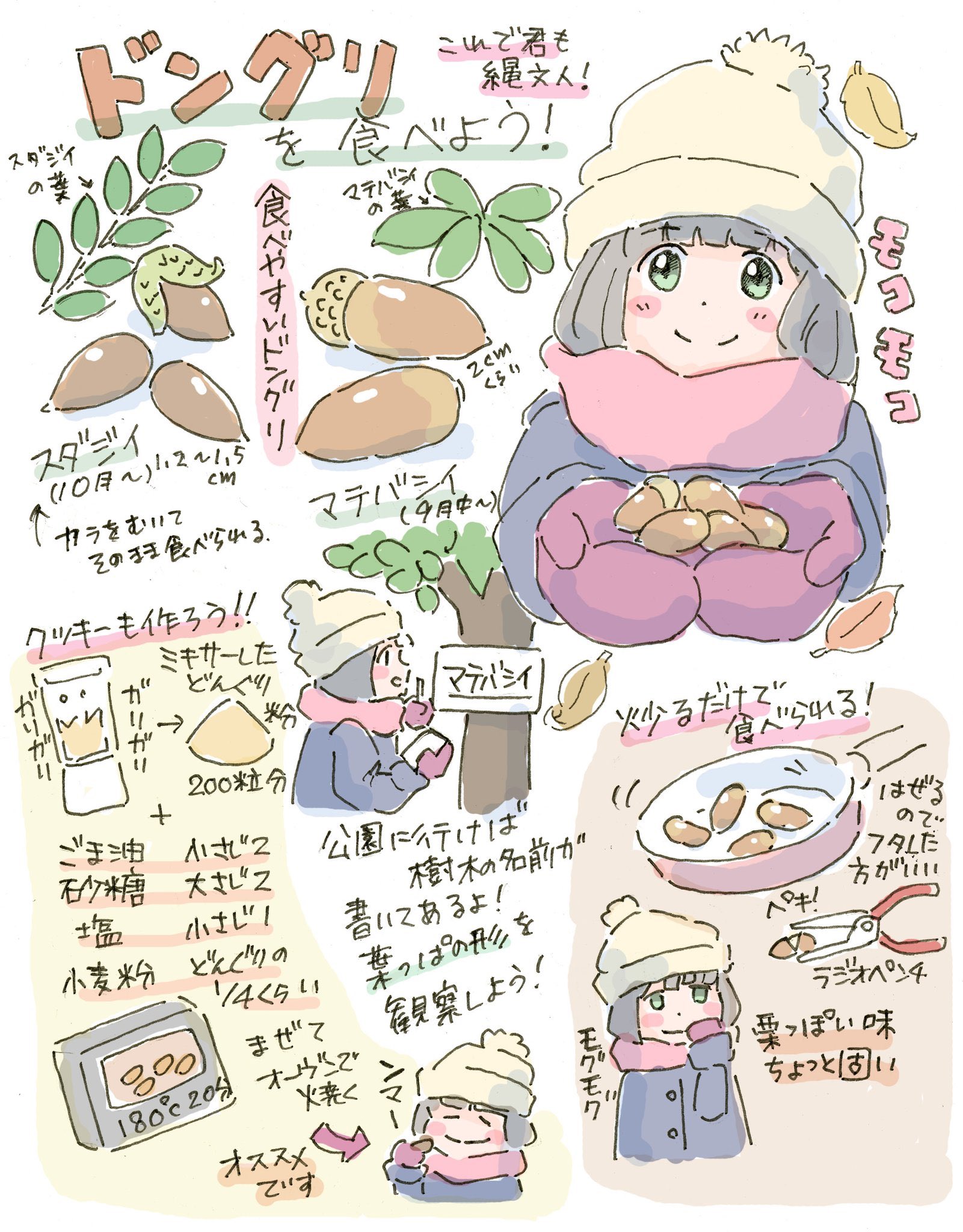 ドングリを食べよう！ポランカさんのイラスト