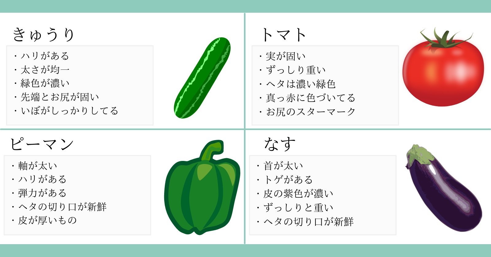 青髪のテツさんの野菜情報1