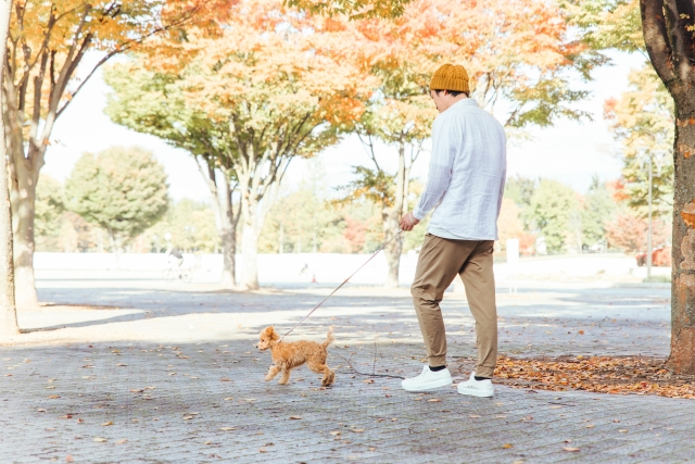 犬とウォーキングする男性