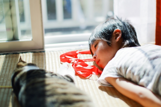 夏の窓辺にいる少年と猫