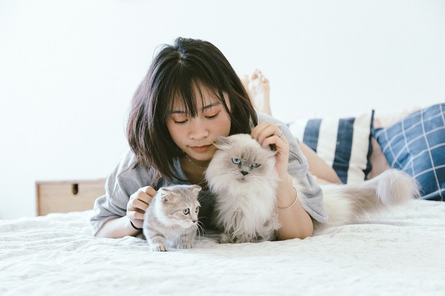 猫とごろごろする女性