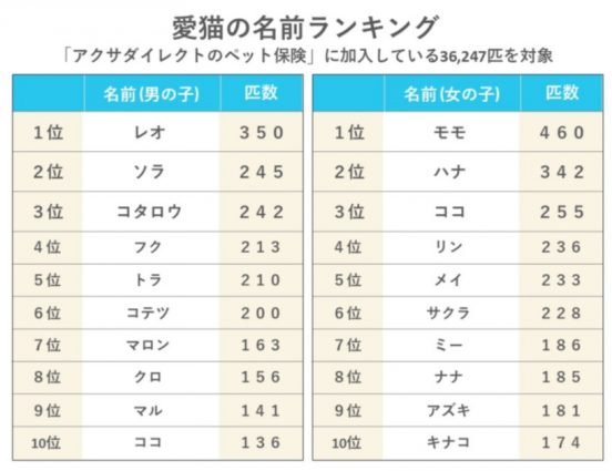 【アクサダイレクト】猫の名前ランキング（性別ごと）