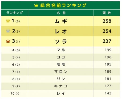 【アニコム損害保険】猫の名前ランキング（総合）