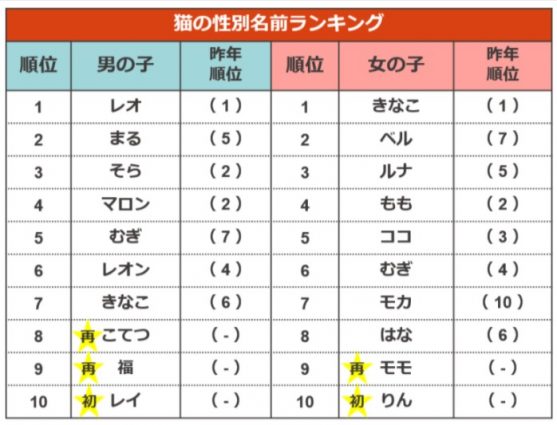 【アイペット損害保険】猫の名前ランキング（性別ごと）