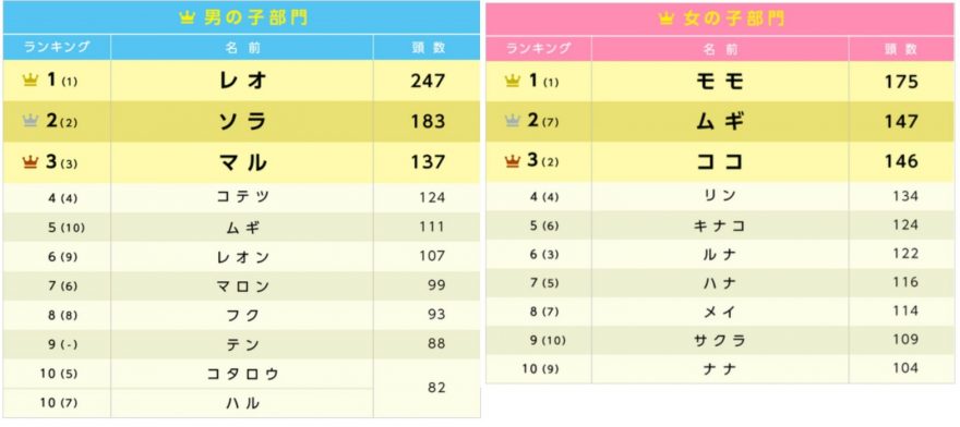 【アニコム損害保険】猫の名前ランキング（性別ごと）