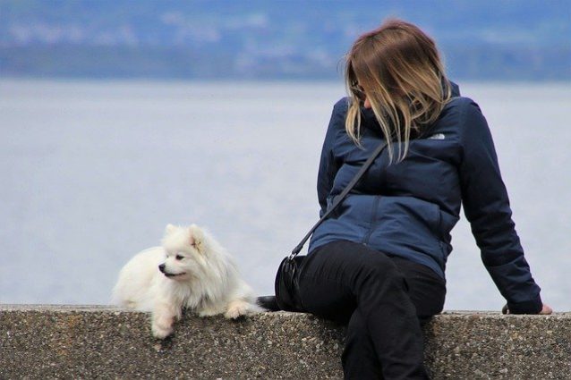 海を見ているスピッツと女性