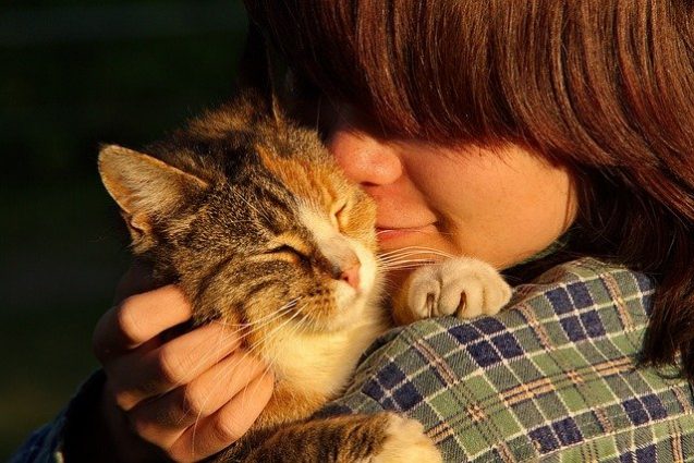 子供に抱っこされるネコ