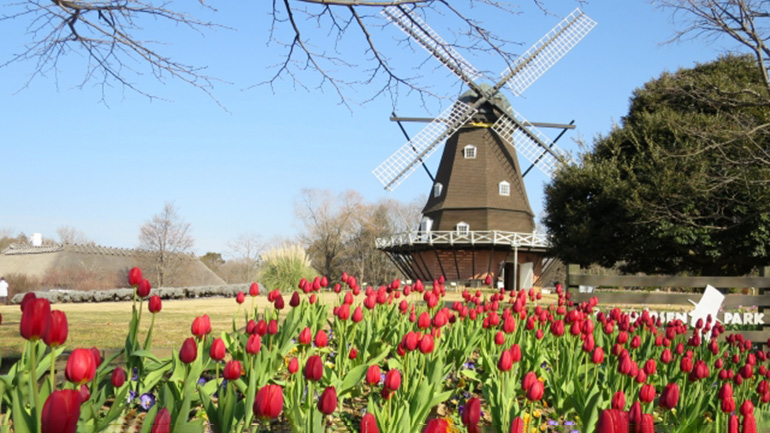 ふなばしアンデルセン公園3