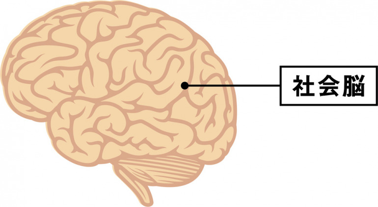 他人にどう見られているかを意識してしまう社会脳とは？