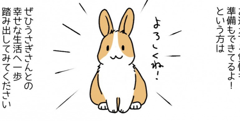 2023年は卯年！うさぎを飼育する前に知っておくべき現実と飼い主
