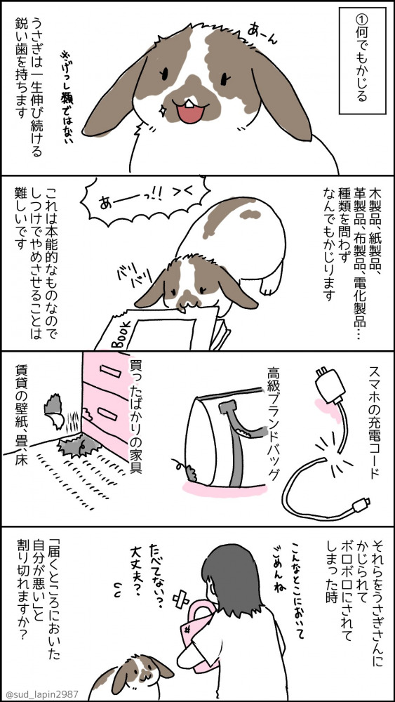 南兎さんのうさぎ年漫画7