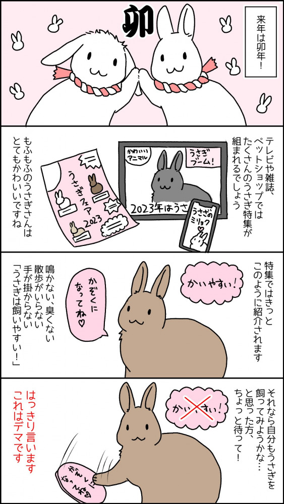 南兎さんのうさぎ年漫画6