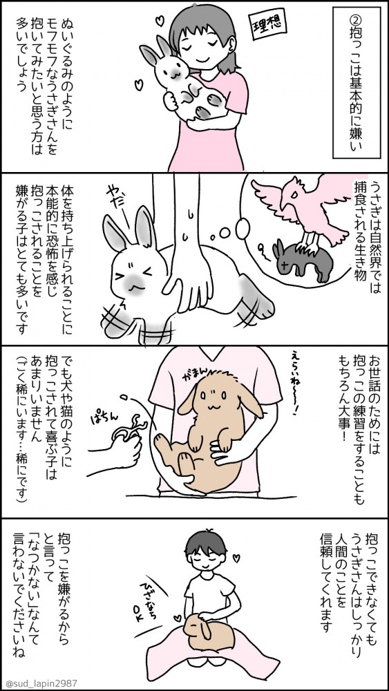 南兎さんのうさぎ年漫画8