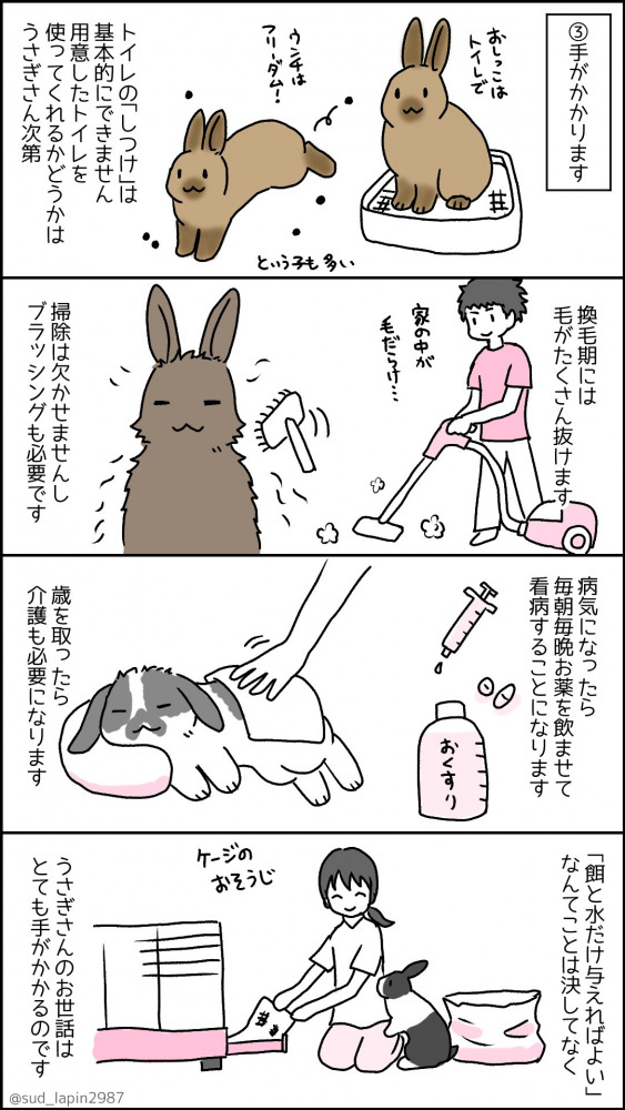 南兎さんのうさぎ年漫画9