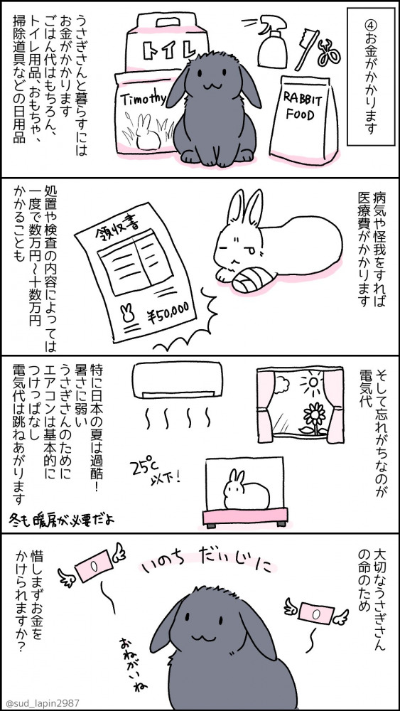 南兎さんのうさぎ年漫画10