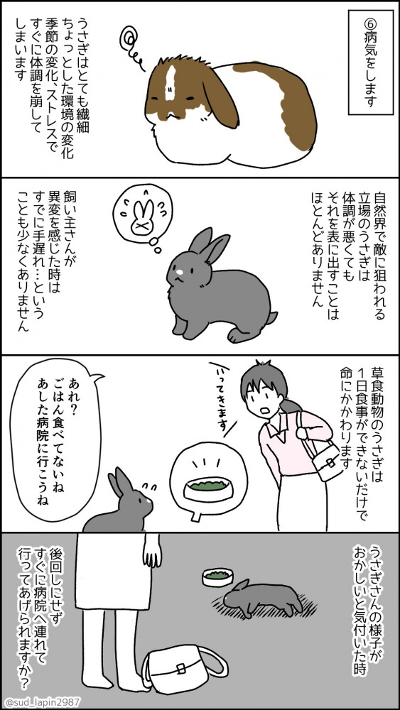 南兎さんのうさぎ年漫画2