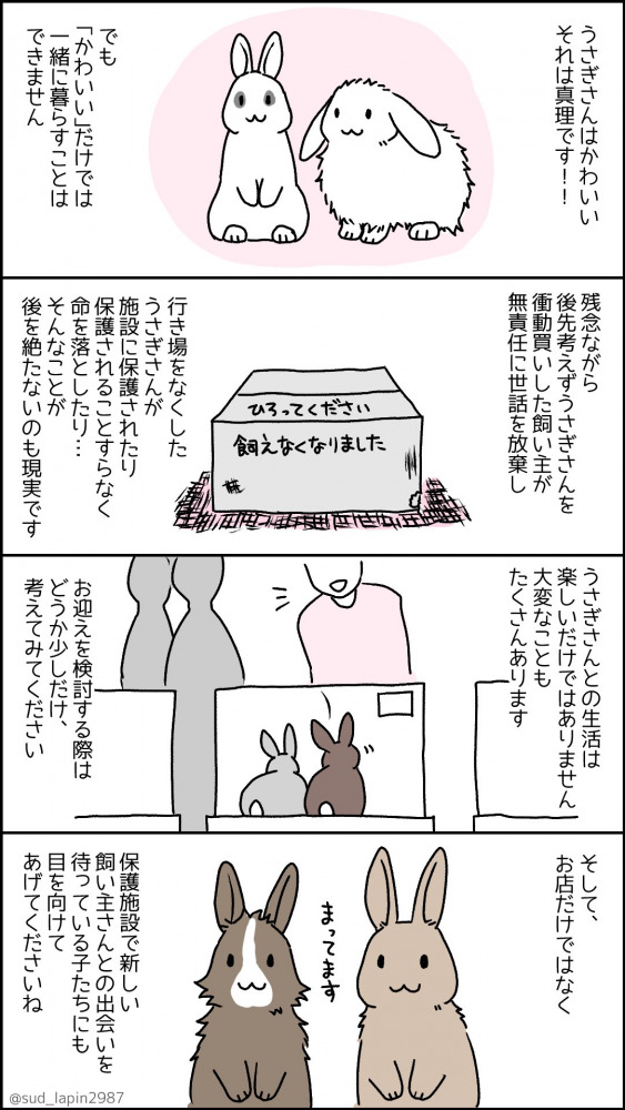 南兎さんのうさぎ年漫画1