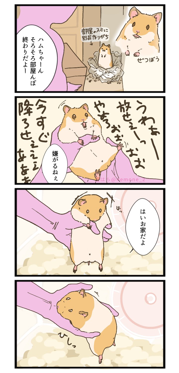 遊ハちさんのハムスター漫画4