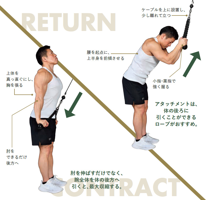 上腕三頭筋・長頭を鍛える「ロープ・プレスダウン」、上腕三頭筋・内側頭を鍛える「マニュアル・トライセプスエクステンション」の正しいやり方｜@DIME  アットダイム