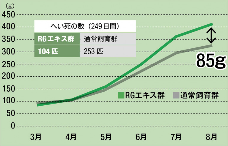 温藻ありなしでヒラメ体重（140日間）の差は85g！