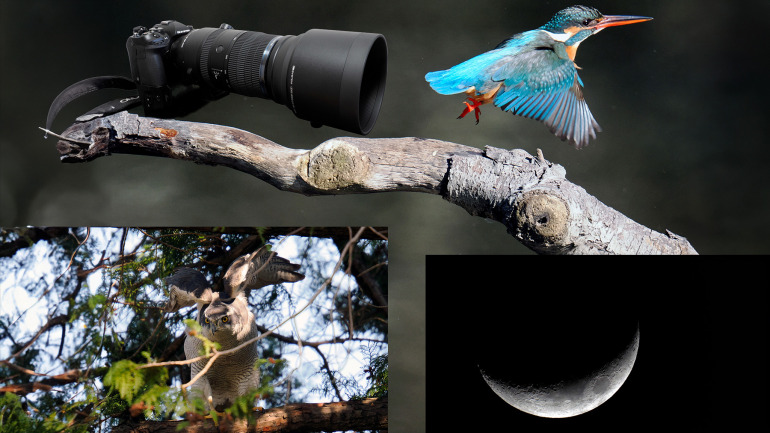 3ページ目）手持ちで撮れる！「OM-1 Mark II」と「M.ZUIKO DIGITAL ED