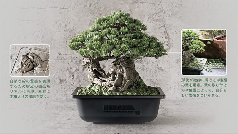 BANDAI SPIRITS
『SRL X BANDAI SPIRITS. BONSAI MODEL KIT』