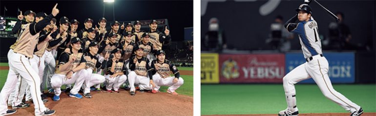 HOKKAIDO NIPPON-HAM FIGHTERS