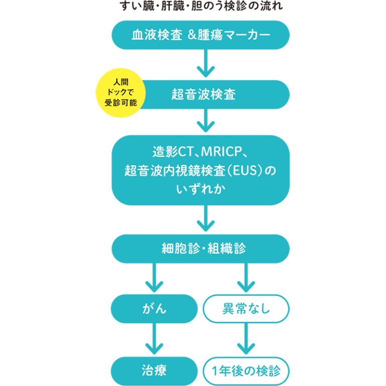 すい臓・肝臓・胆のう検診