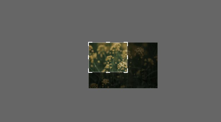 画像の一部を切り取る