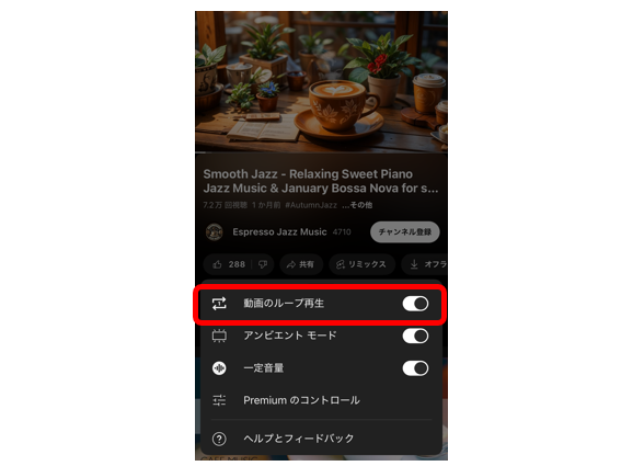 「動画のループ再生」オプションをオンにすれば、同じ動画が繰り返し再生される。