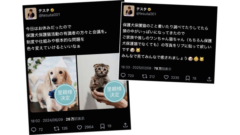 保護犬・保護猫活動