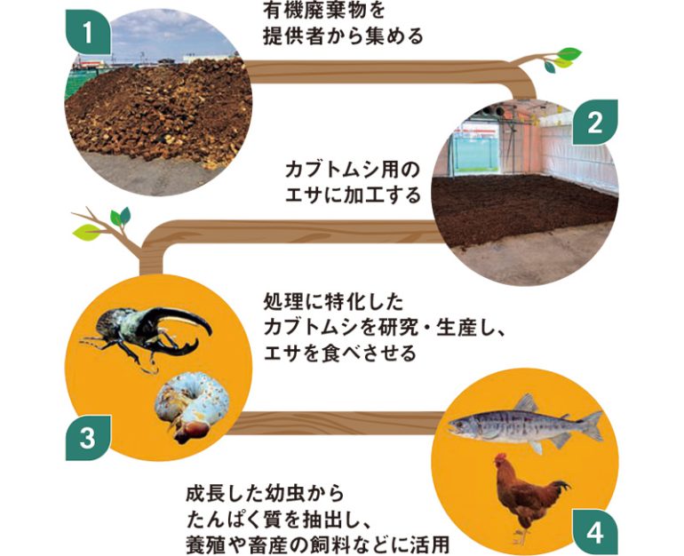 カブトムシによって廃棄物が減り資源不足問題を解消するしくみ