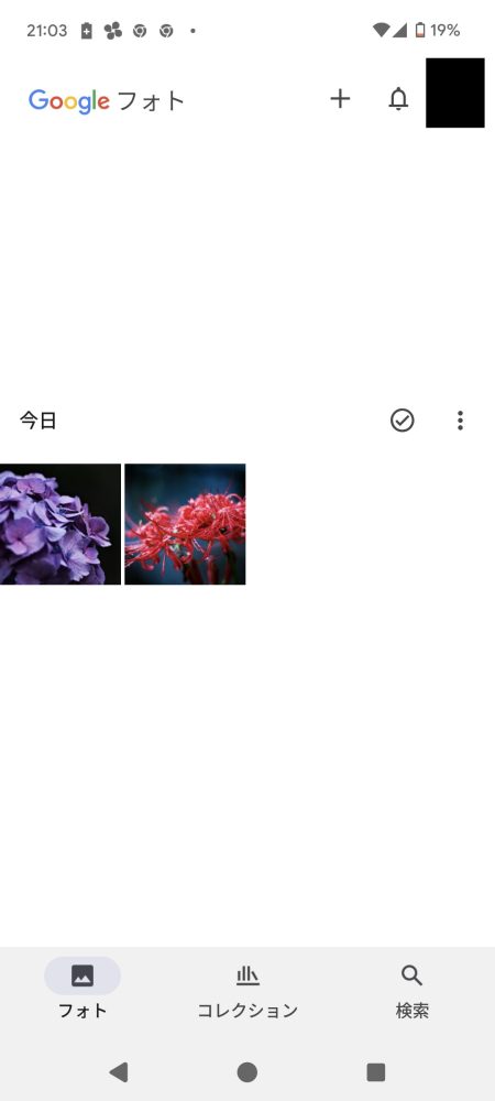 Google フォトを開く