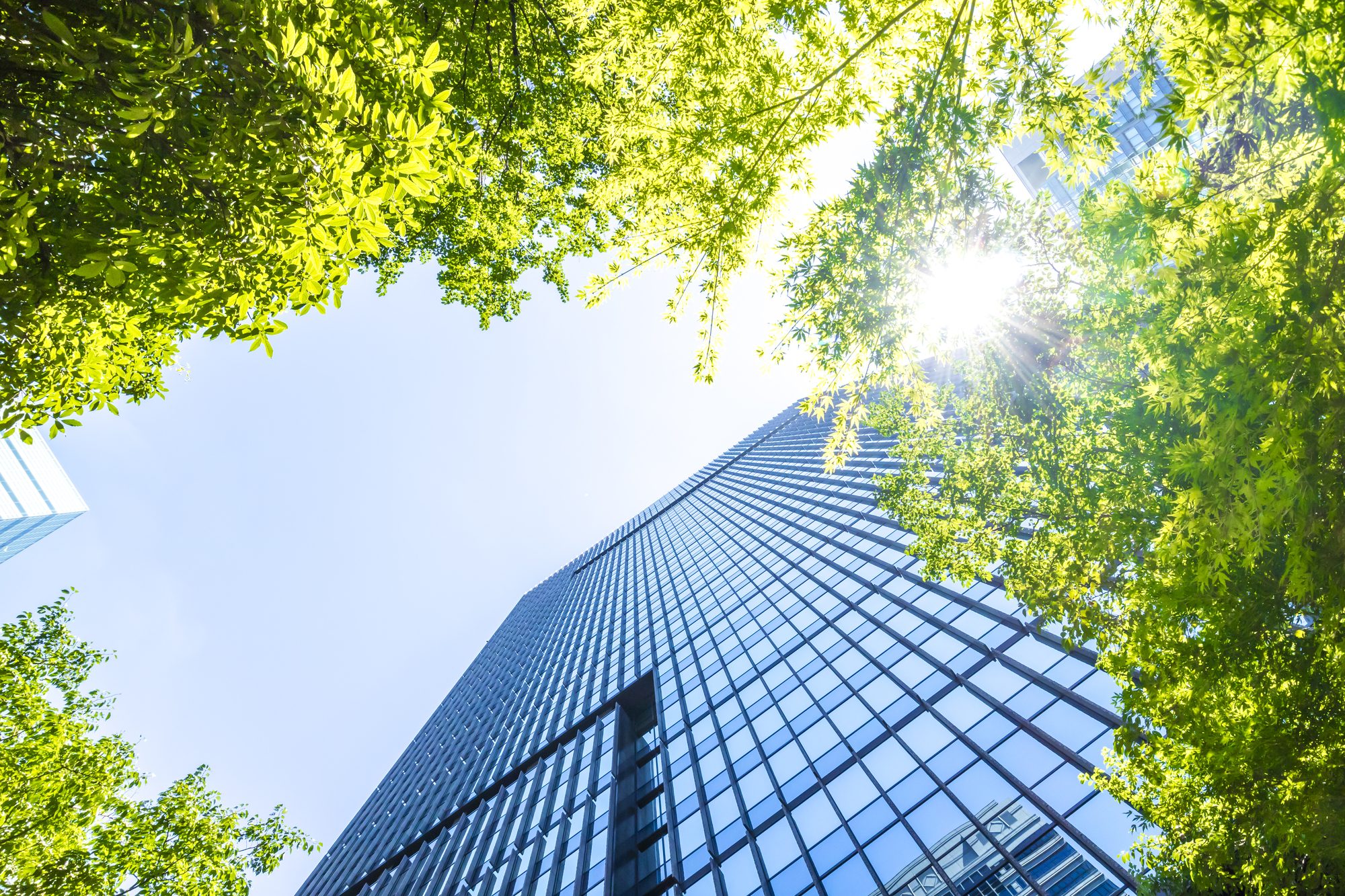 オフィスビルを見上げる