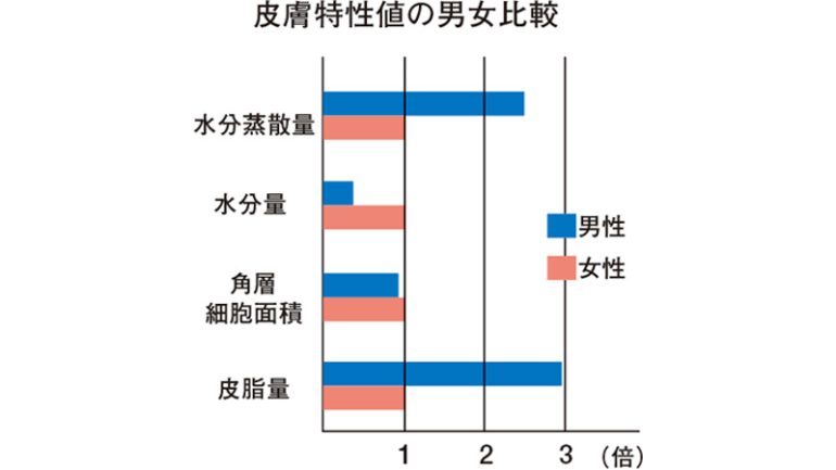 男性の肌の特徴