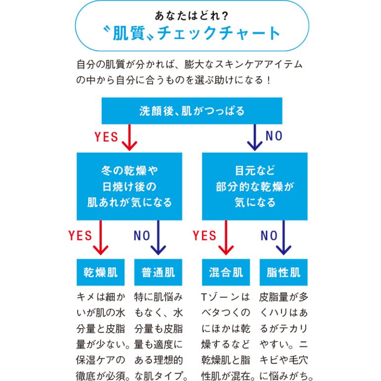 肌質チェックシート