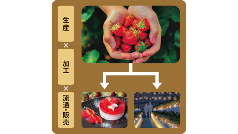 農業の6次産業化