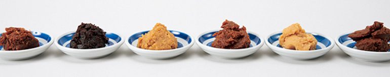 MISOVATION『15種具材の味噌鍋スープMISOVATION』