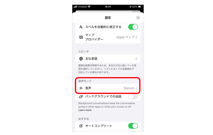 音声タイプの設定画面