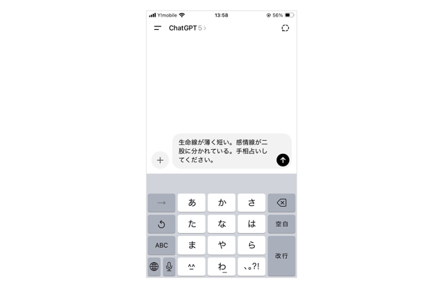 入力欄に「生命線が薄く短い」「感情線が二股に分かれている」などと記入し、「手相占いしてください」と依頼する
