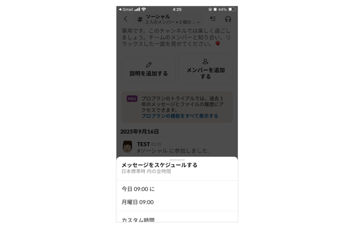 「スケジュール送信」のメニューが表示された画面