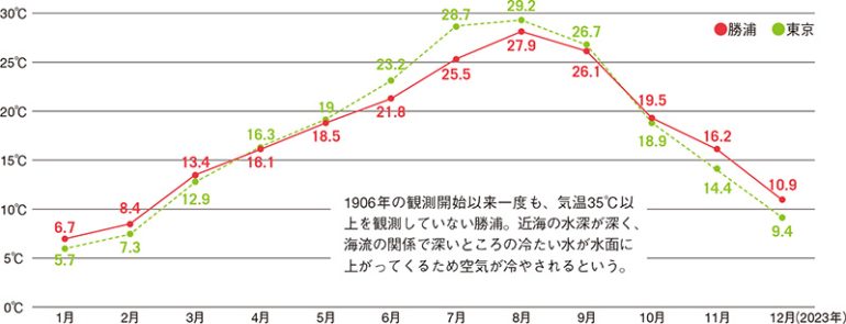 勝浦市の年間平均気温グラフ