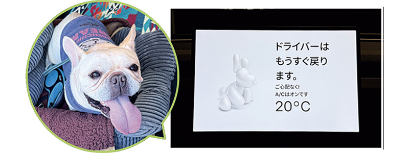 テスラ『モデル3 ロングレンジAWD』