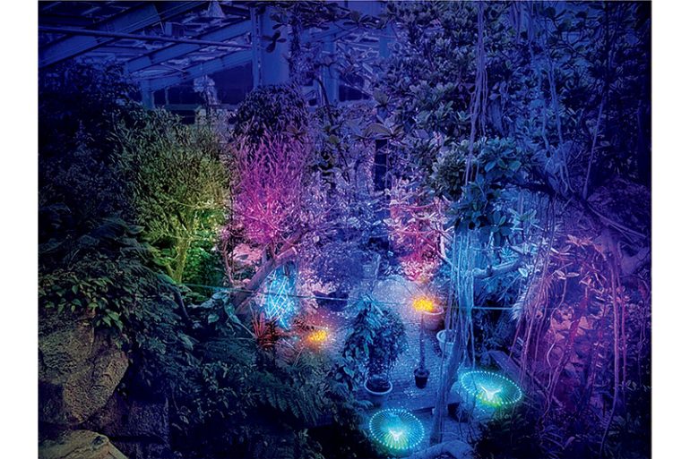 THE BOTANICAL RESORT 林音