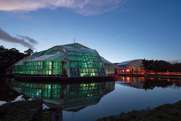 京都府立植物園「LIGHT CYCLES KYOTO」