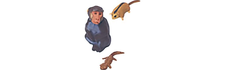 フルタ製菓『チョコエッグ』