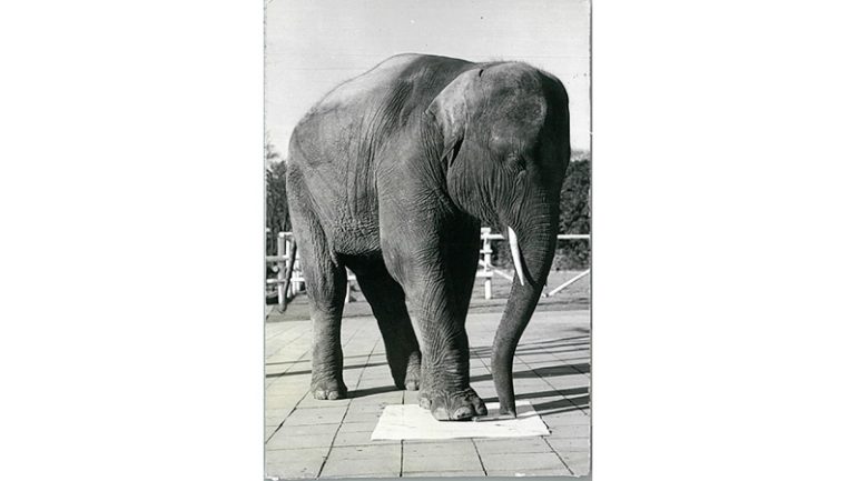 サンスター文具 アーム筆入