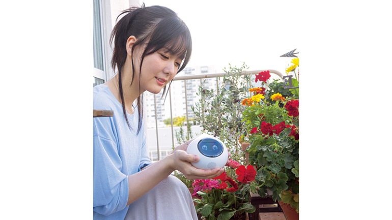 MIXI『Romi Lacatan（ロミィ ラカタン）モデル』