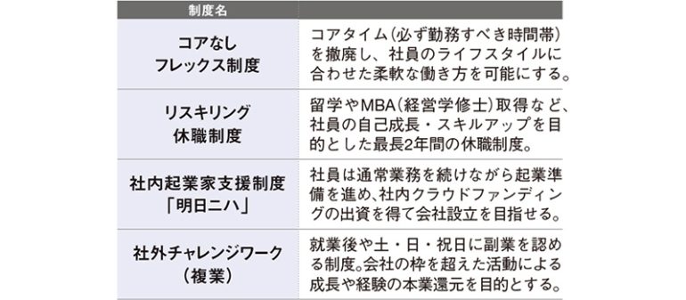ロート製薬における主な働き方関連制度