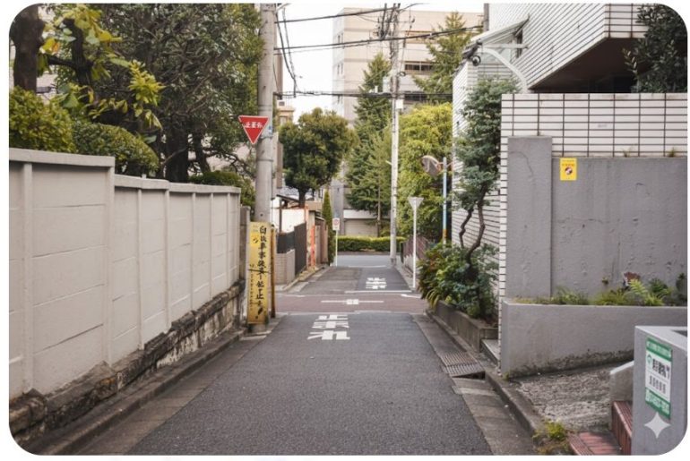 NanobananaProが写真の色味を調整した画像